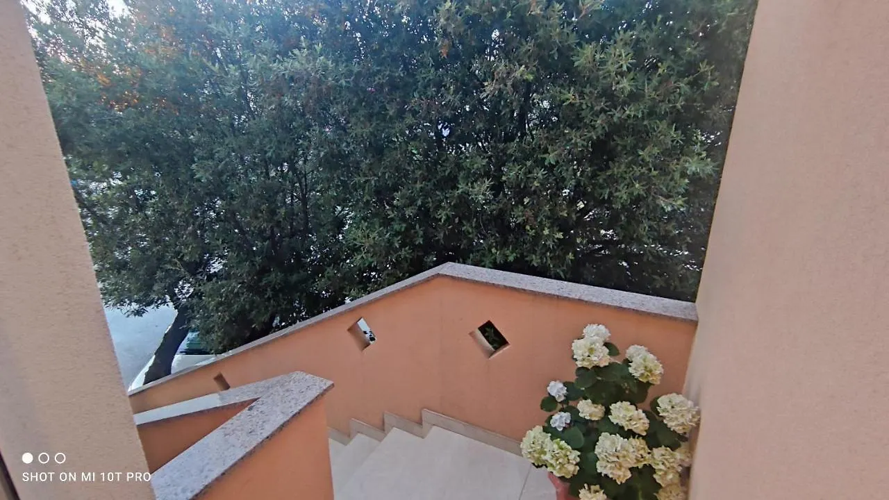 Summer In Mandre Croatia