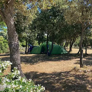  Campsite Camping Sugar